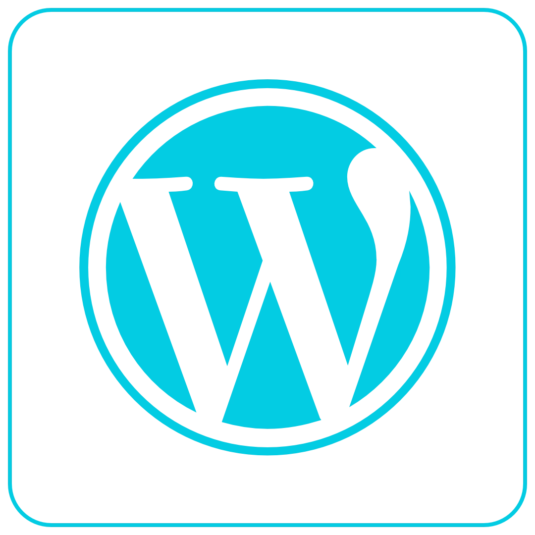 Job Description – WordPress Website Coordinator