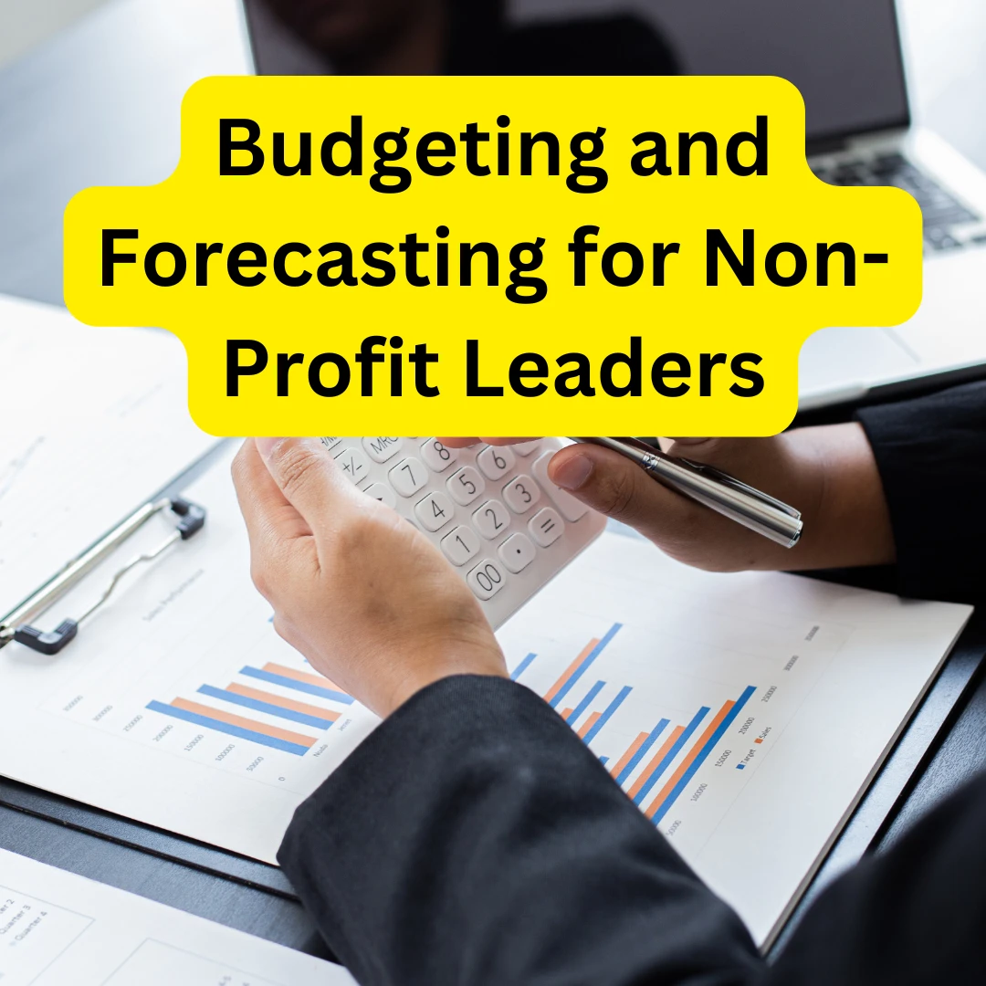 Budgeting and Forecasting for Non-Profit Leaders